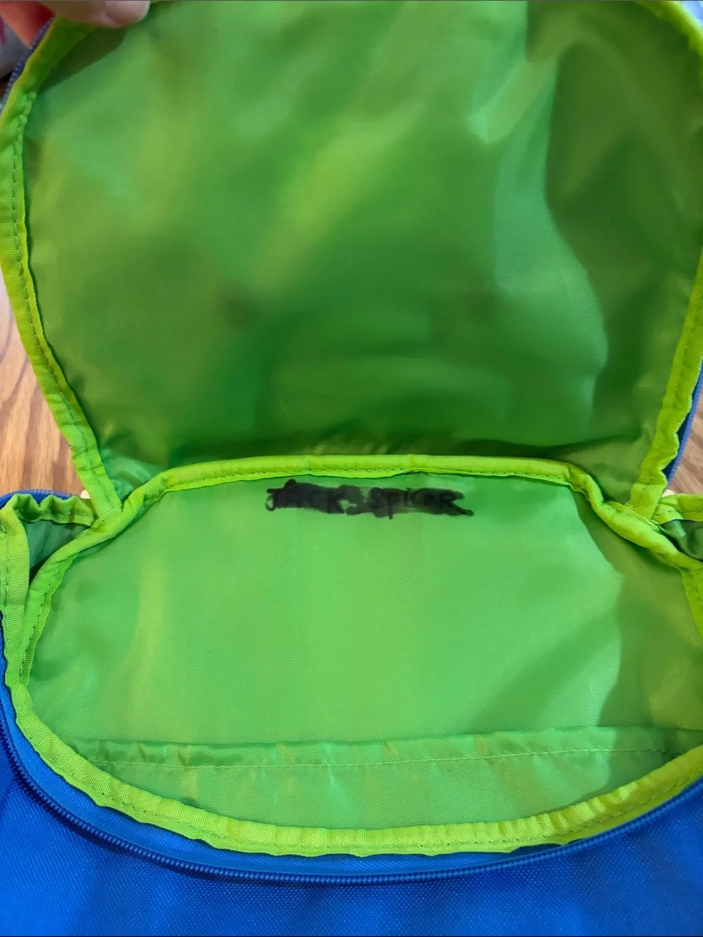 Skip Hop Blue and Green Dino Kids Backpack